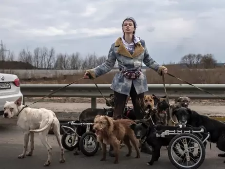 Зооволонтер із Ірпеня: Усі собаки-інваліди з фото, що облетіло світ, знайшли домівку